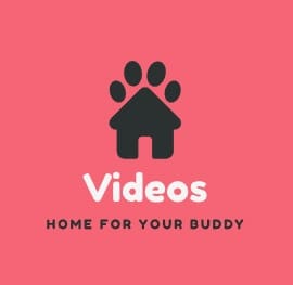 Video Japan Bokep-indo